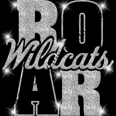 GLT74   SILVER GLITTER Thumbnail